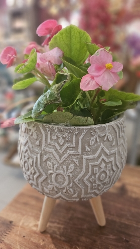 Betónový kvetináč s ornamentmi 19cm x 13,5cm
