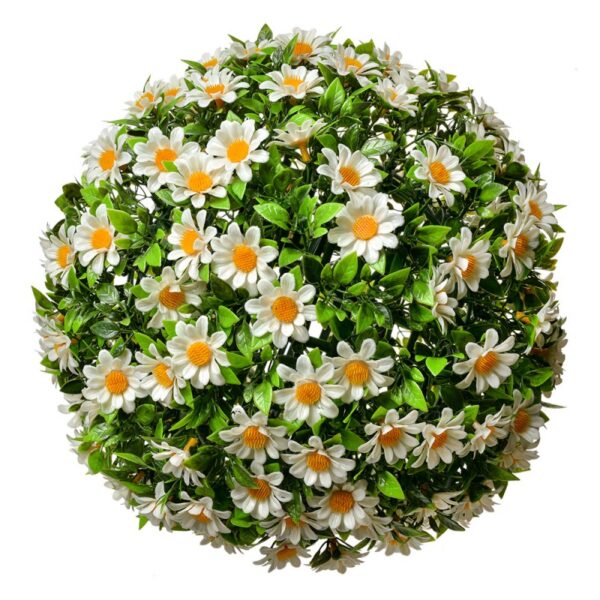Buxus Margaréta 