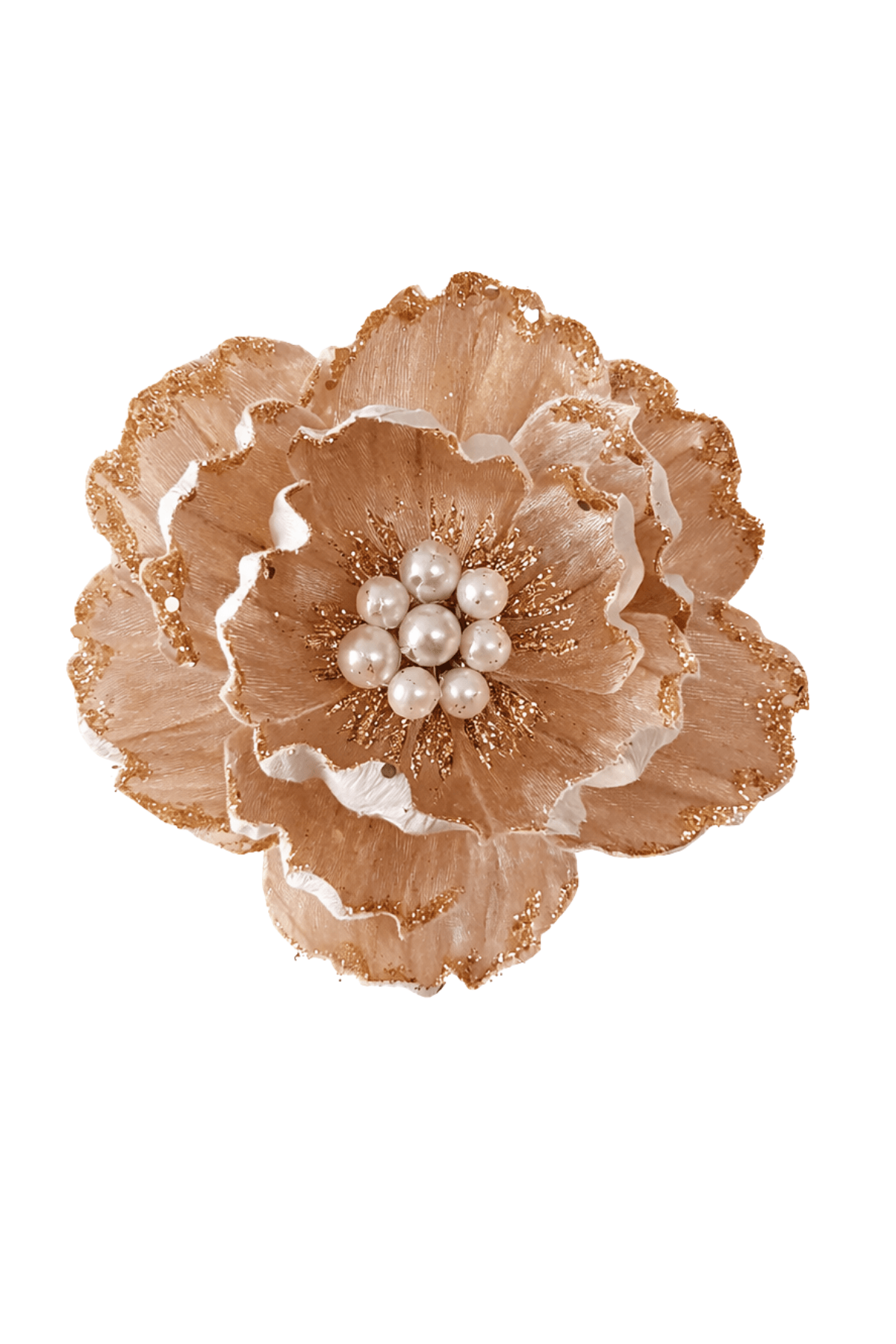 Krémová magnólia 18 cm